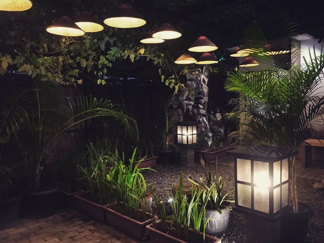 Come Back to Nature with Treehouse Suites