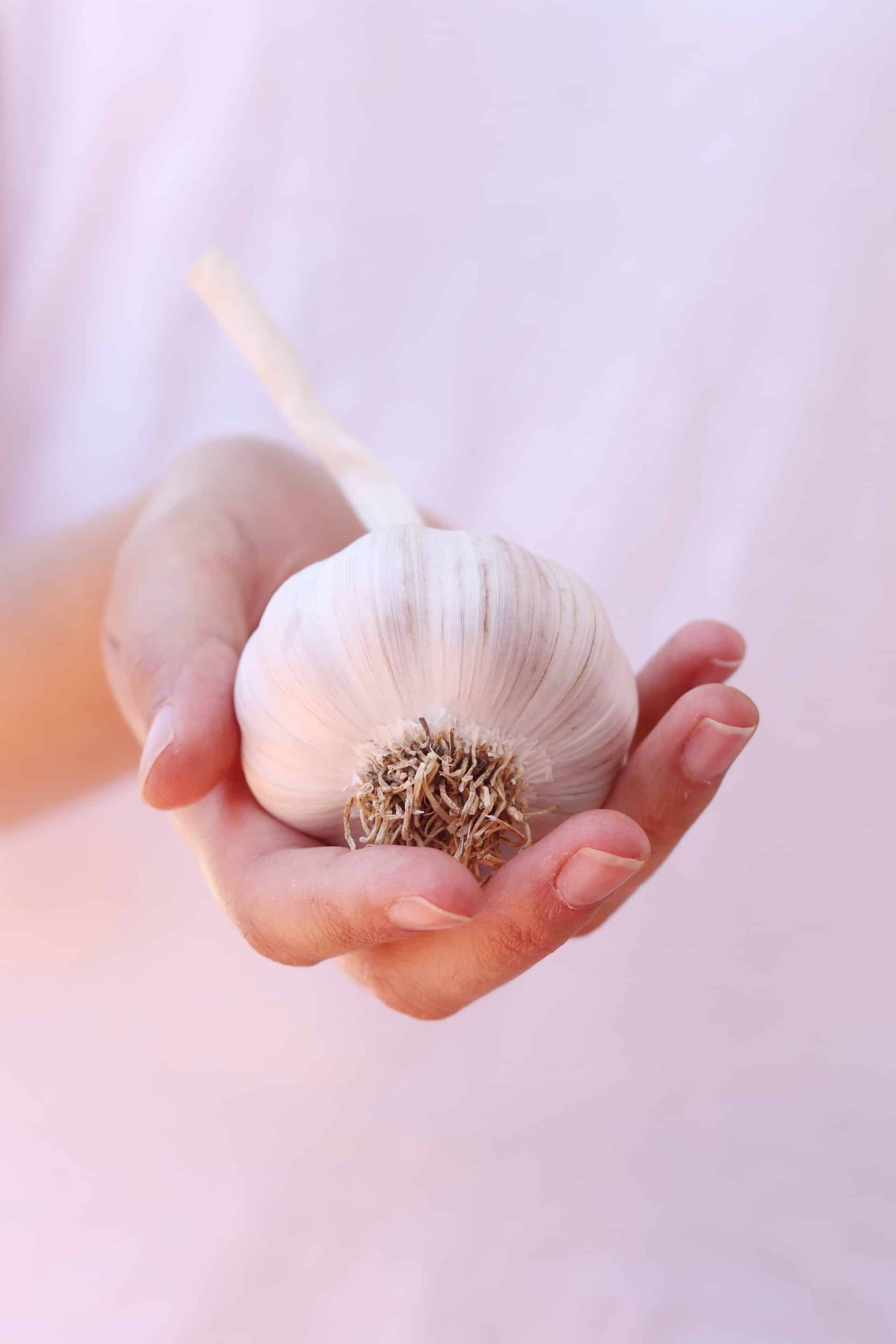 10 Amazing Benefits of Garlic