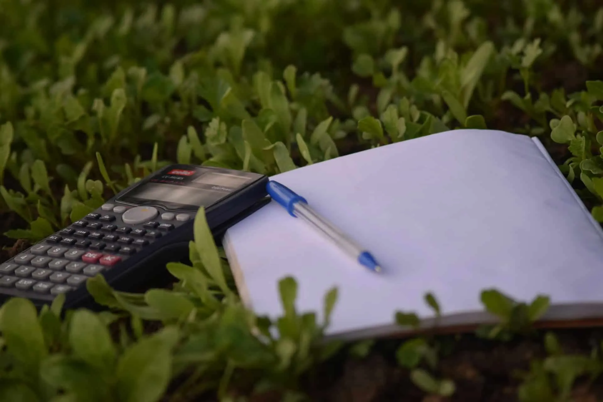 P2P Lending: Balancing Asset Growth with Real Economic Empowerment