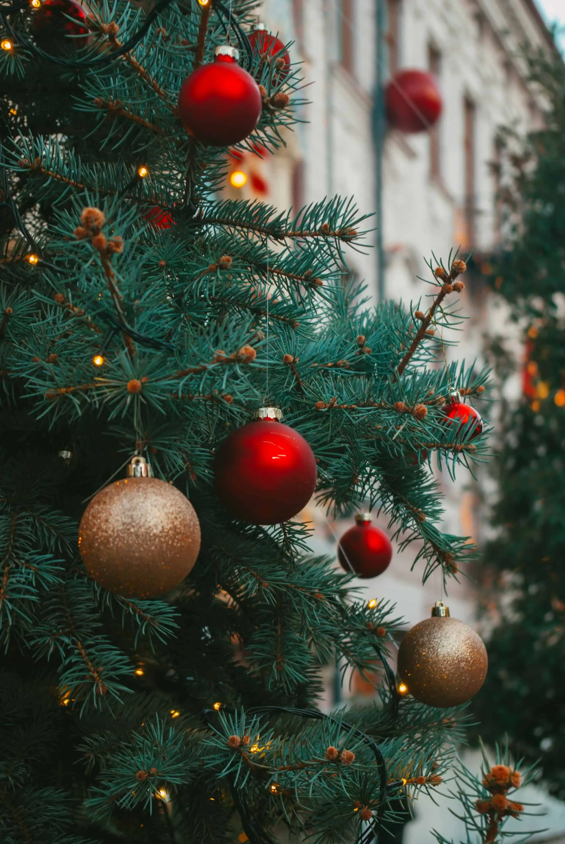 The Joy of Gifting & Slow Celebration: Celebrating Christmas Without Drama & Stress