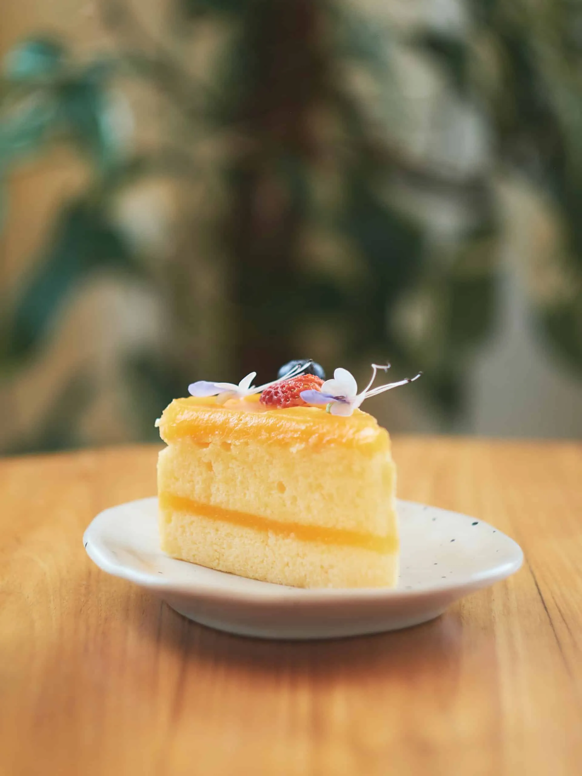 Japanese Jiggly Cheesecake: Rahasia di Balik Tekstur Awan yang Memikat Dunia