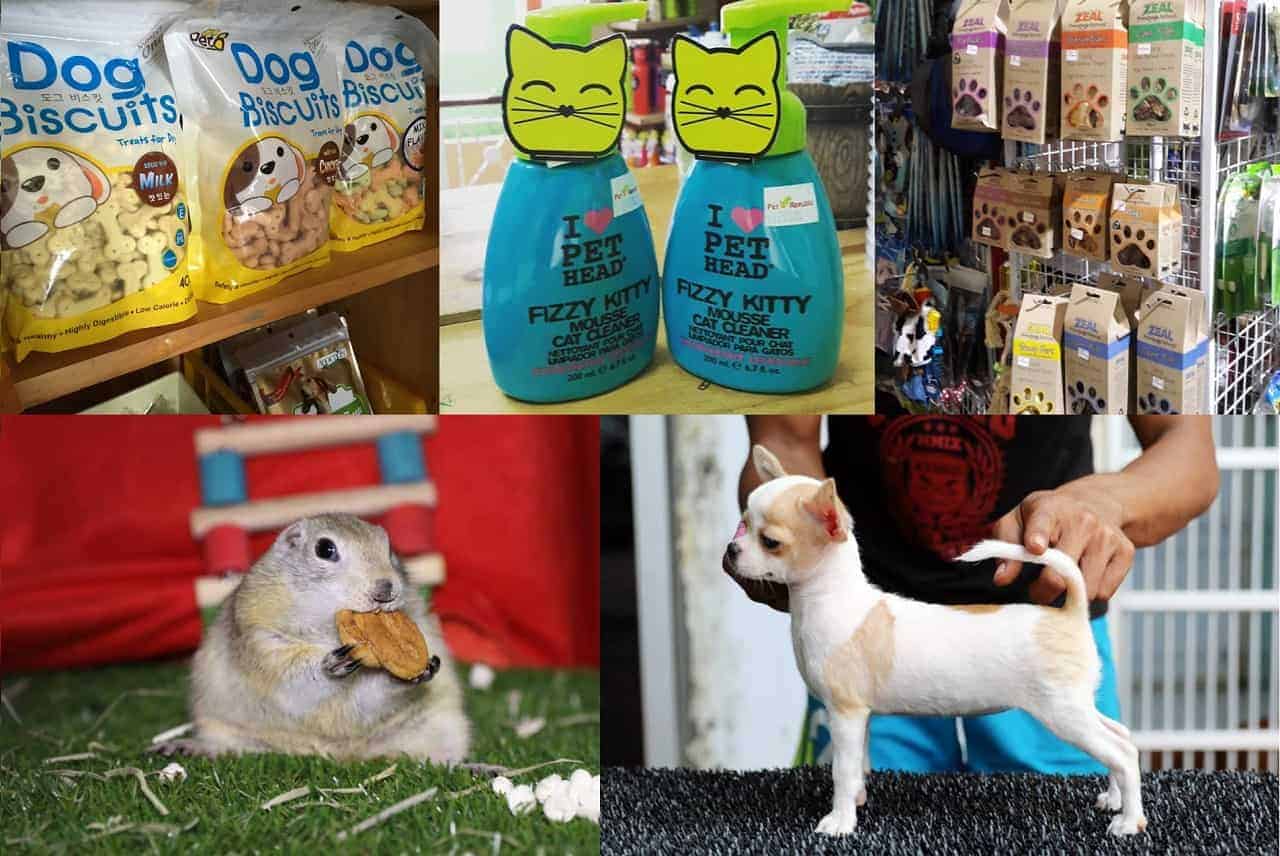 Manjakan Hewan Peliharaan Anda Bersama Pet Republic