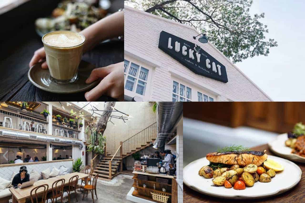 Enjoying Food and Coffee Anytime at Lucky Cat Coffee & Kitchen