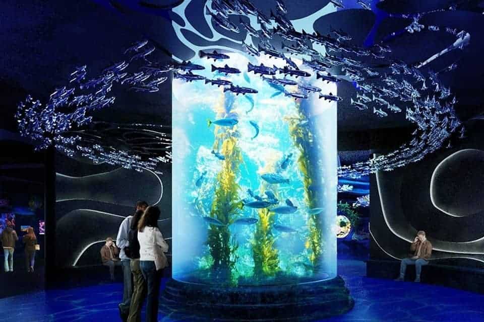Rekreasi Akuarium Pertama di Dalam Mall