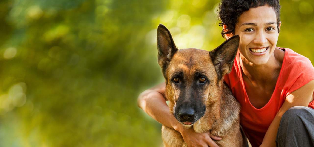 4 Things to Consider Before Bringing a New Pet Home