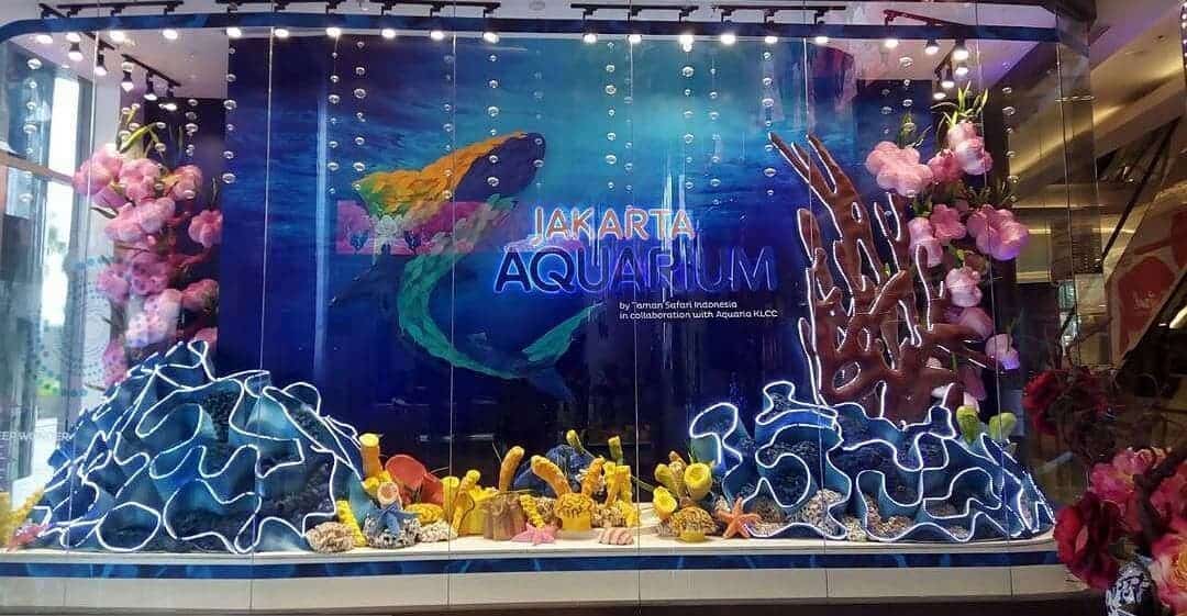 5 Things to Do at Jakarta Aquarium