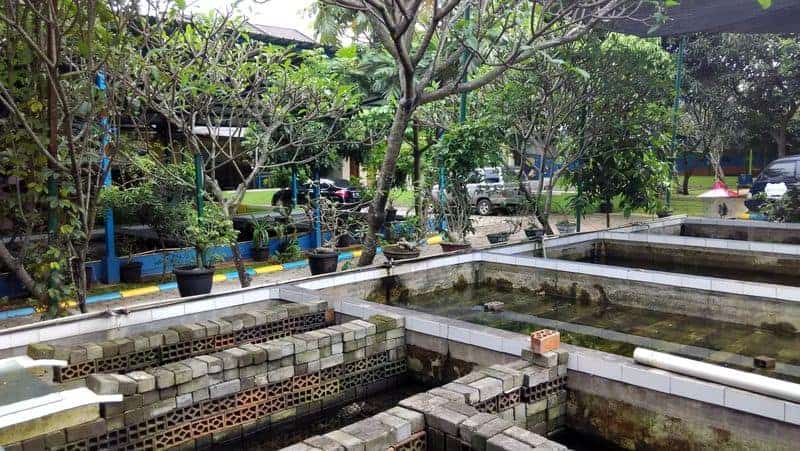 Rekreasi Edukatif untuk Buah Hati
