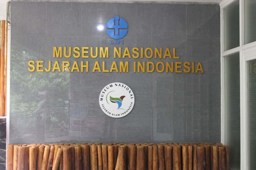 Museum Nusantara Sejarah Alam Indonesia Warisan Budaya di Indonesia