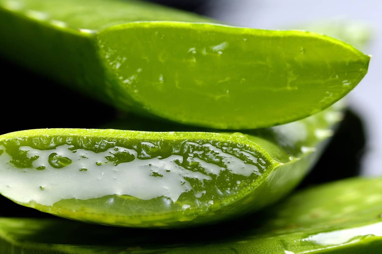 5 Keunggulan Lidah Buaya untuk Kecantikan
