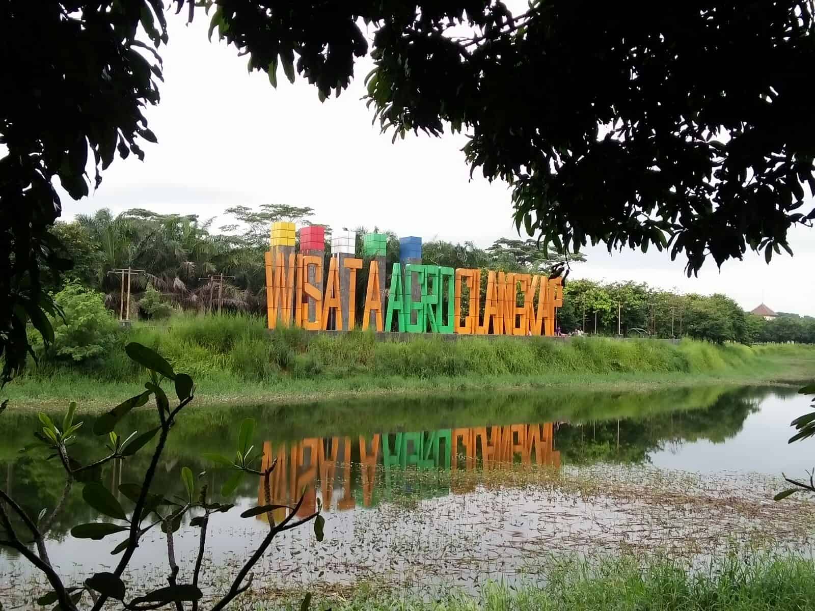 Wisata Sambil Mengenal Tanaman Hidroponik