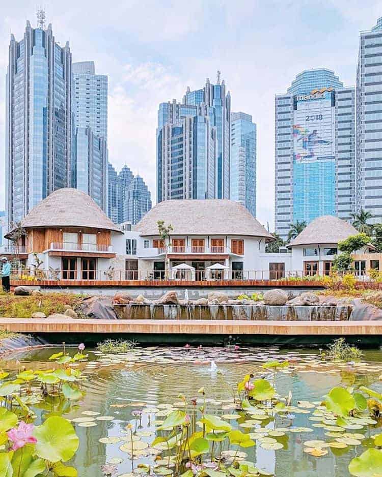 GBK City Forest The New Beautiful Place in Jakarta