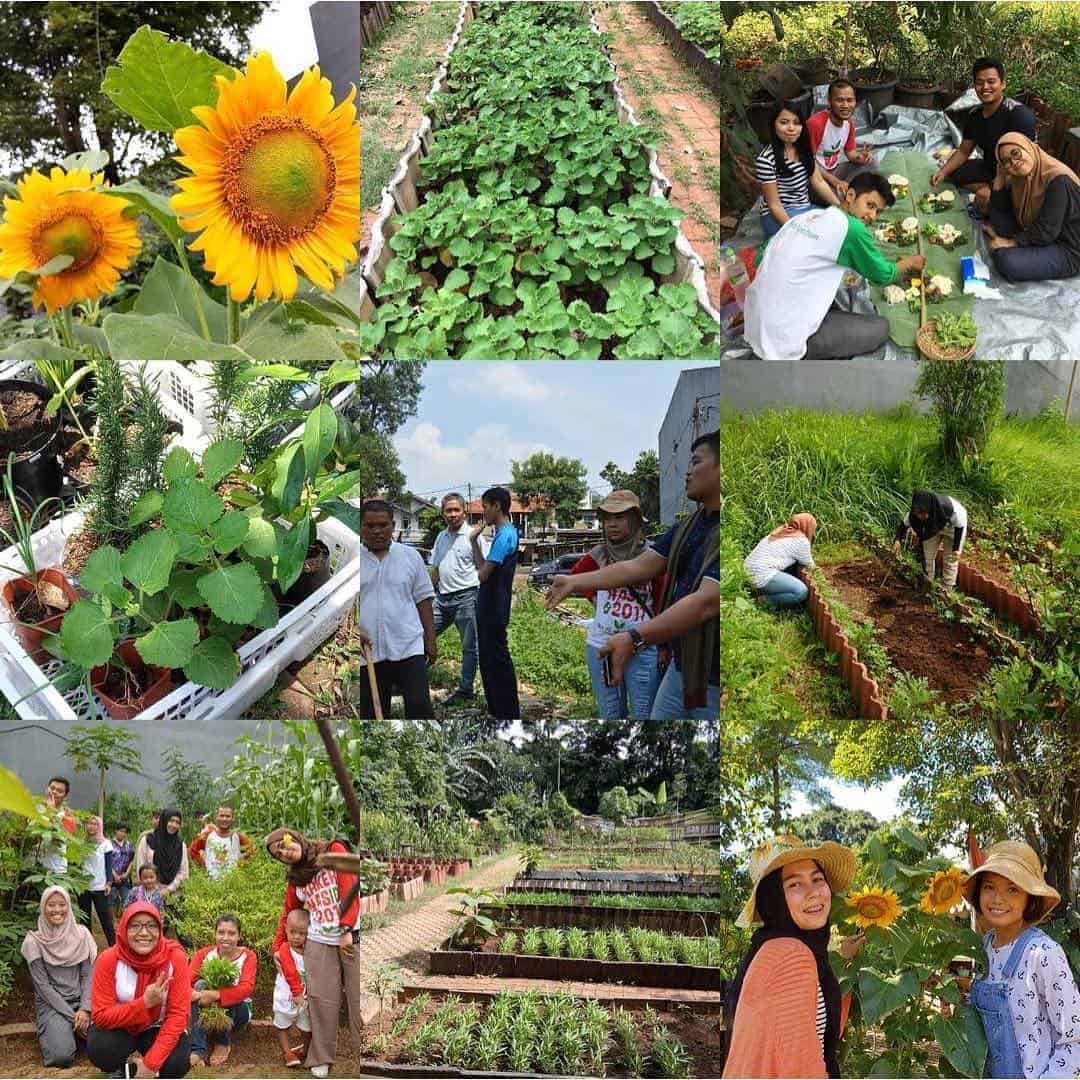 Happy Farming with Jakarta Berkebun