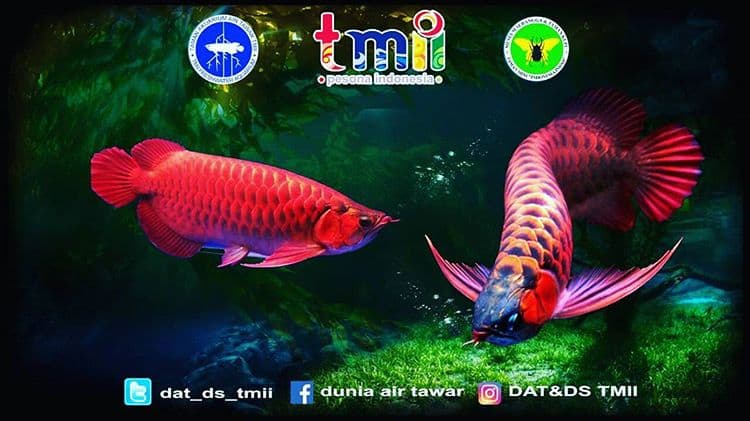 Fun Play at Dunia Air Tawar TMII