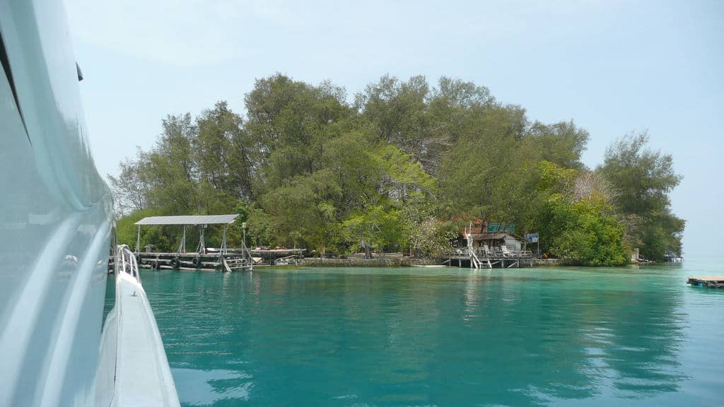 Exotic, Beautiful, and Environmental Friendly