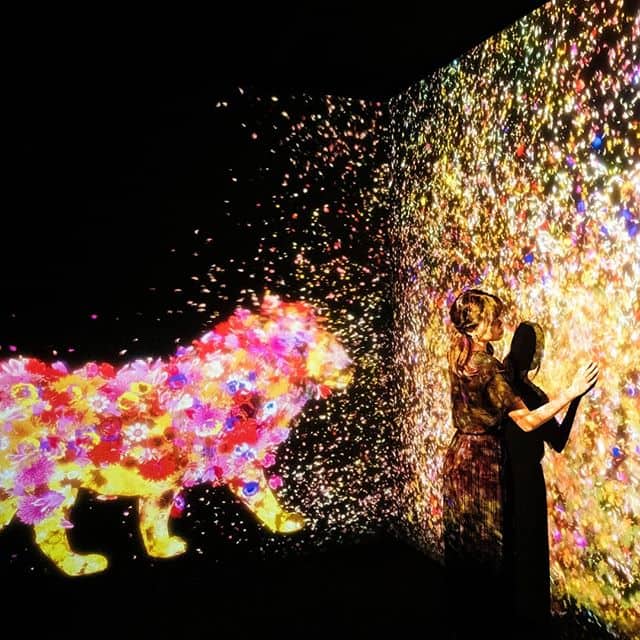 teamLab Future Park Pameran Seni Interaktif Terbesar di Jakarta