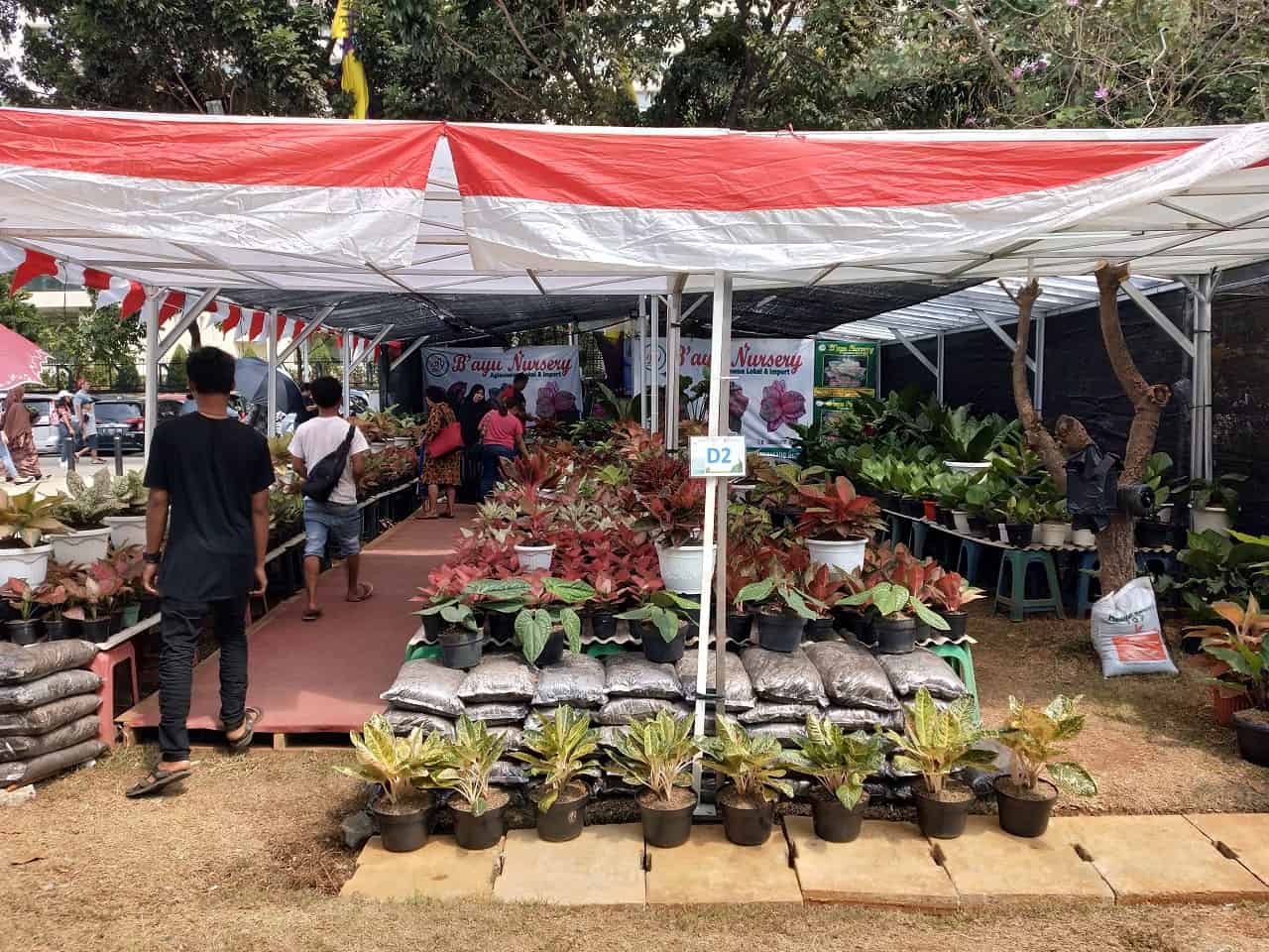 Banyak yang Menarik di Festival Flona 2019