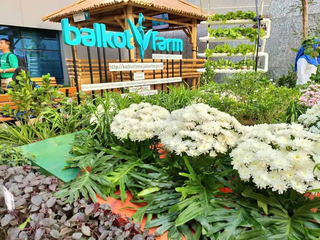 Balkot Farm jadi Percontohan Urban Farming di Jakarta