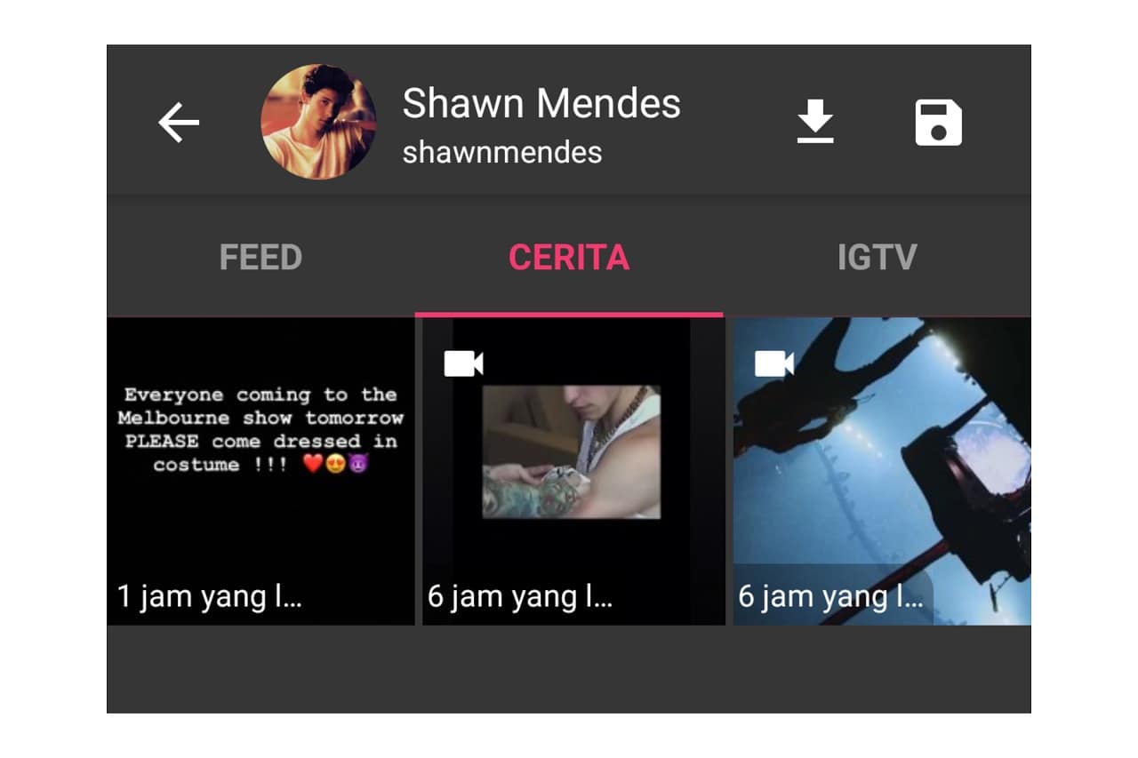 How to Download Instagram Stories