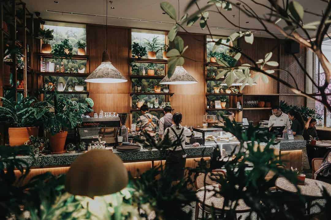 Social Garden, Kafe Bernuansa Taman yang Asyik