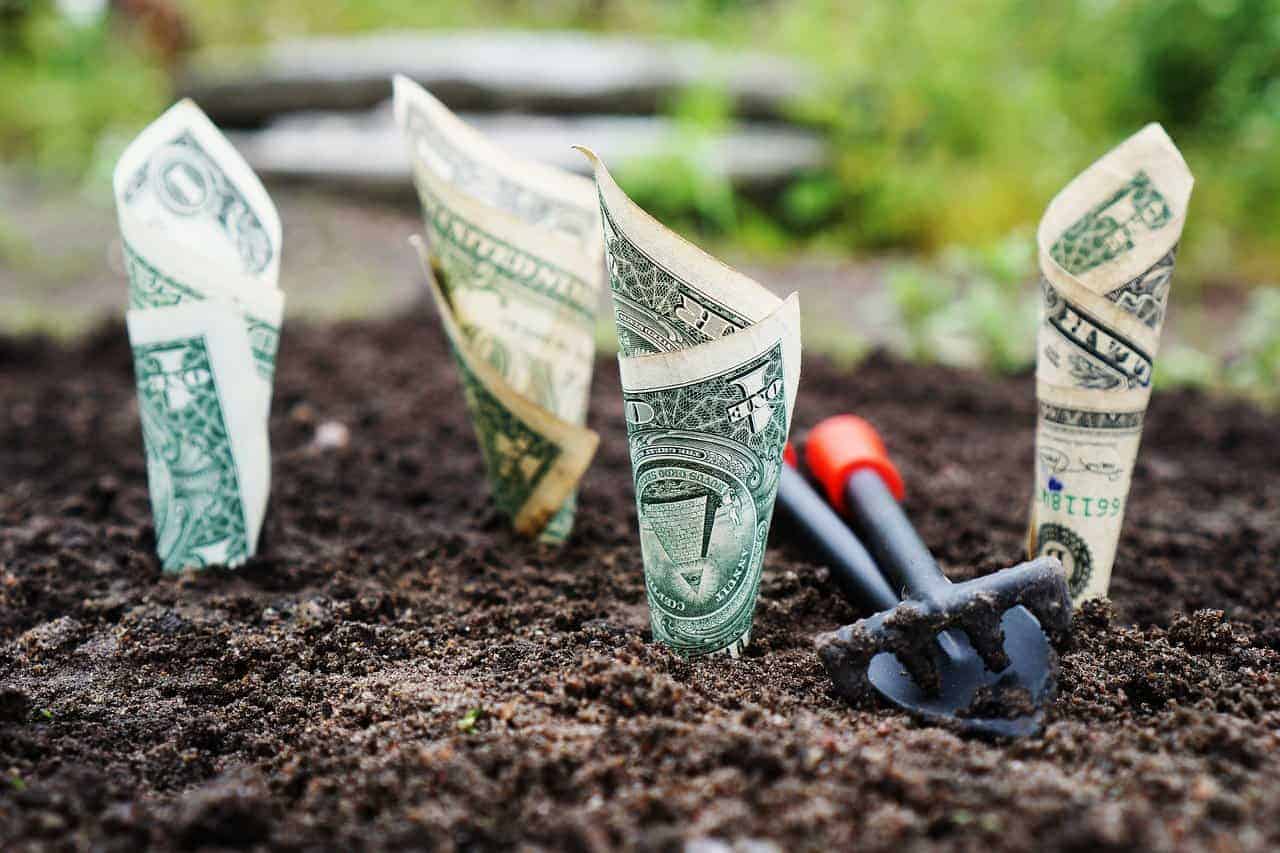 Simple Ways to Make Your Business is Profitable