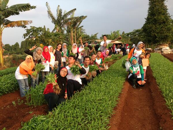 Belajar Urban Farming dengan Indonesia Berkebun
