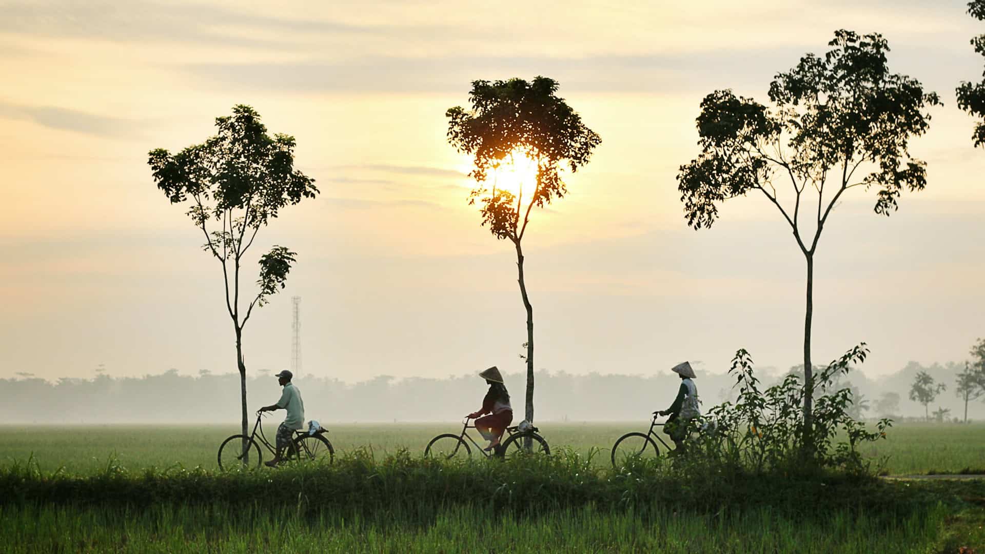 Tren Hotel Eco Green Luxury Resort Di Indonesia