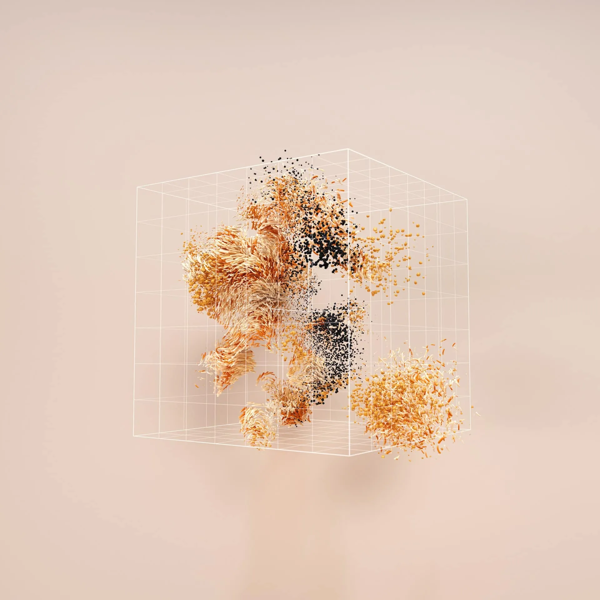 Visual Story