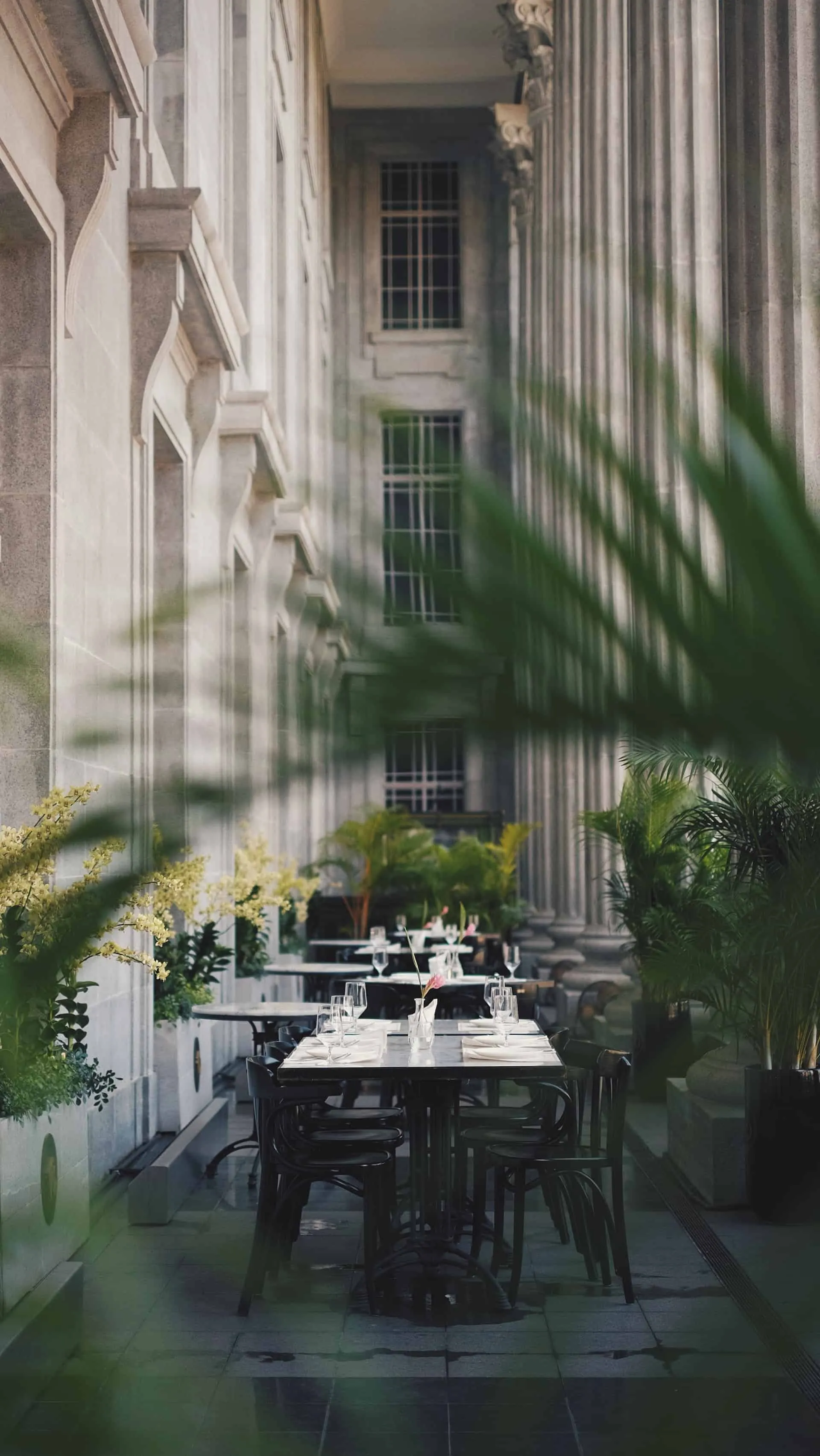 6 Rekomendasi Fine Dining Untuk Bersantap Di Yogyakarta (Part 1)