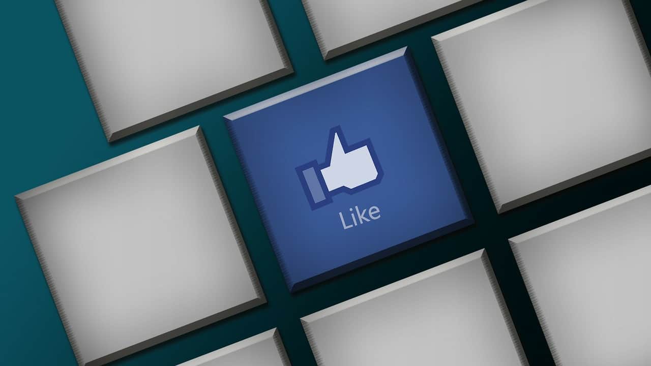 The Motive behind Collecting Facebook Likes and Comments