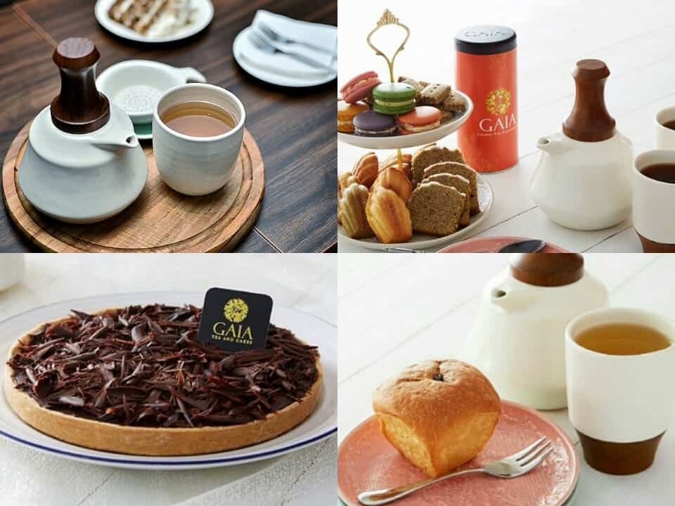 A Comfy & Knowledgeable Tea Time at GAIA