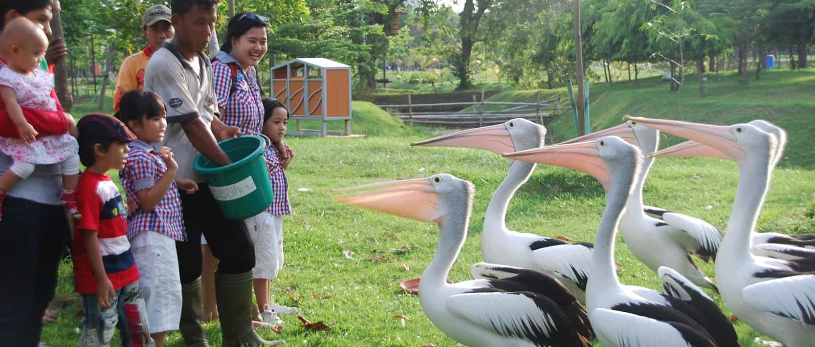 Wisata Edukatif di Ocean Ecopark