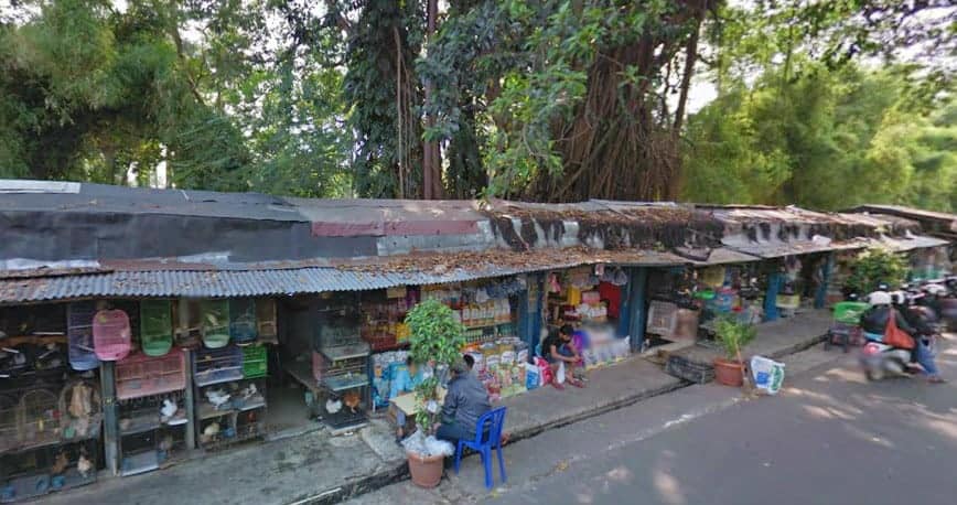 Tempatnya Pecinta Hewan