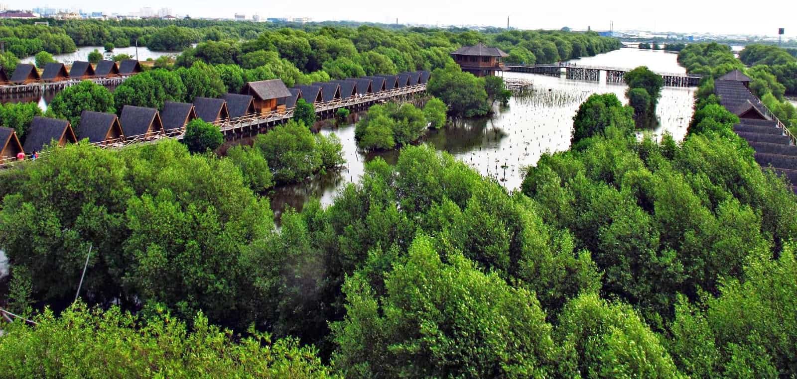 5 Things You Have To Do in Muara Angke Nature Tourism Park